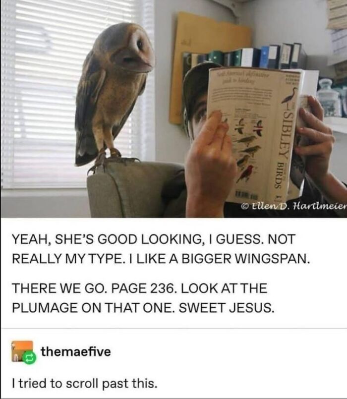 Funny Tumblr Posts: A barn owl perched next to a person reading a bird identification book, with a humorous caption.