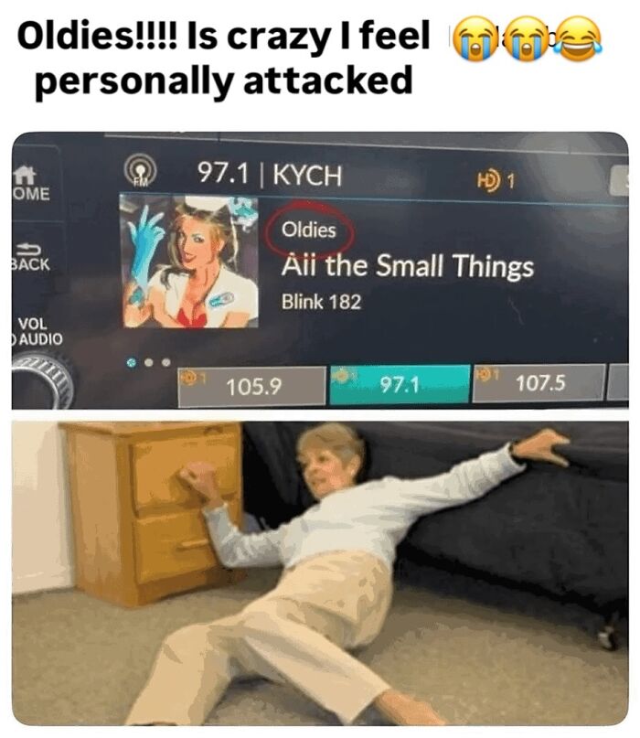 A meme with a car radio playing Blink 182 as oldies, making an older woman fall over. Pure nostalgia gems.