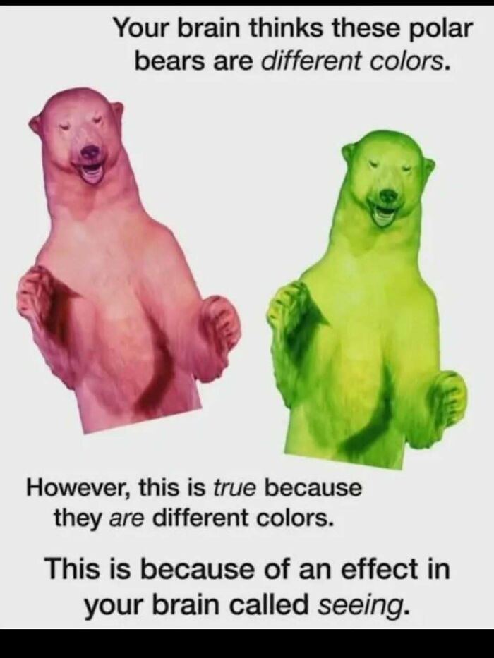 A funny science meme with pink and green polar bears, highlighting how your brain perceives colors.