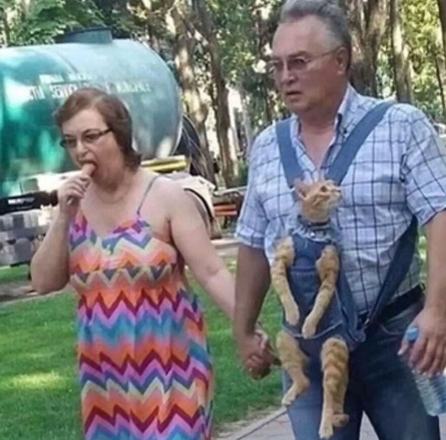 A man carrying a cat in a baby carrier walking alongside a woman eating a hot dog, a random image.