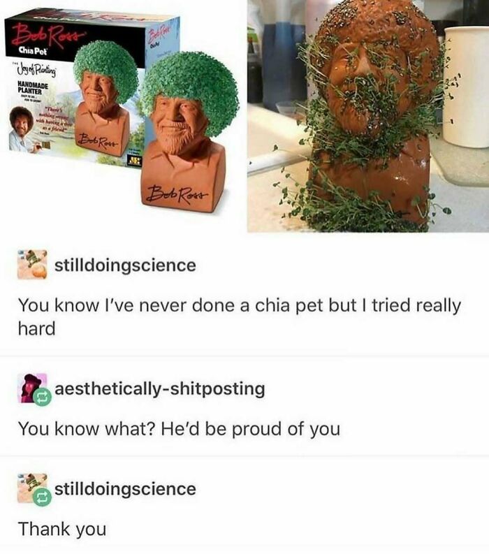 A funny Tumblr post showing a Bob Ross Chia Pet, one new and one with sprouted chia seeds.