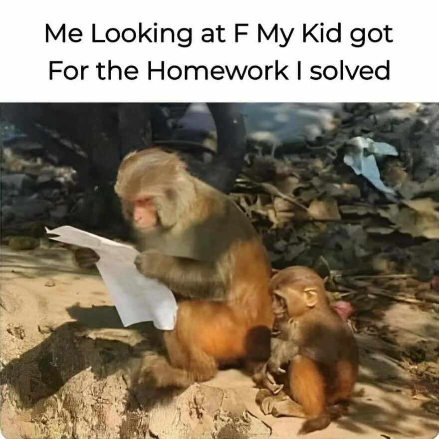 Two monkeys sitting, one adult monkey looking at a paper, with a smaller monkey beside it. Silly animal meme.