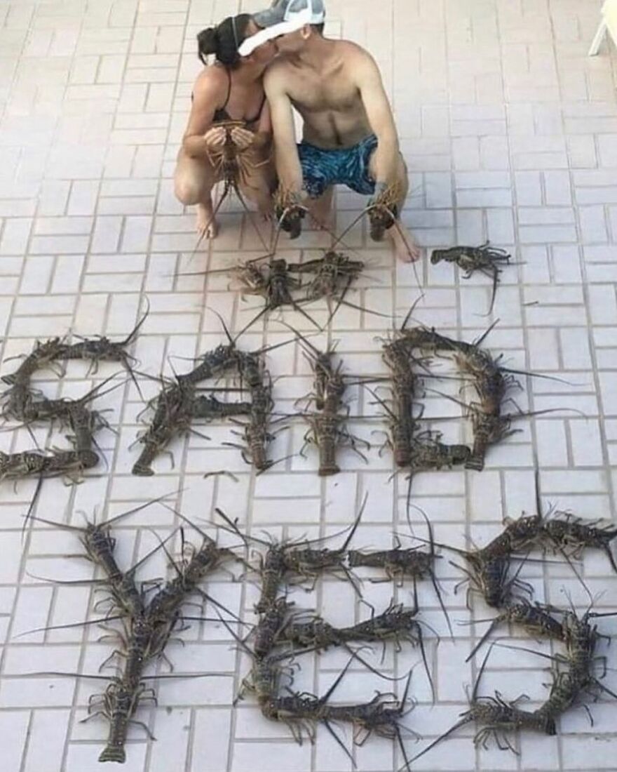 A couple surrounded by lobsters arranged to spell 'Said Yes', a random yet unhinged image.