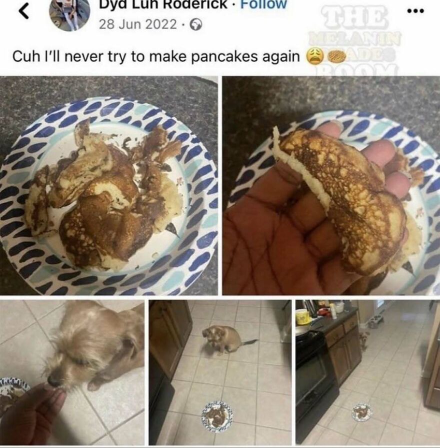 A series of random and unhinged images showing poorly made pancakes and a dog eating them off the floor.