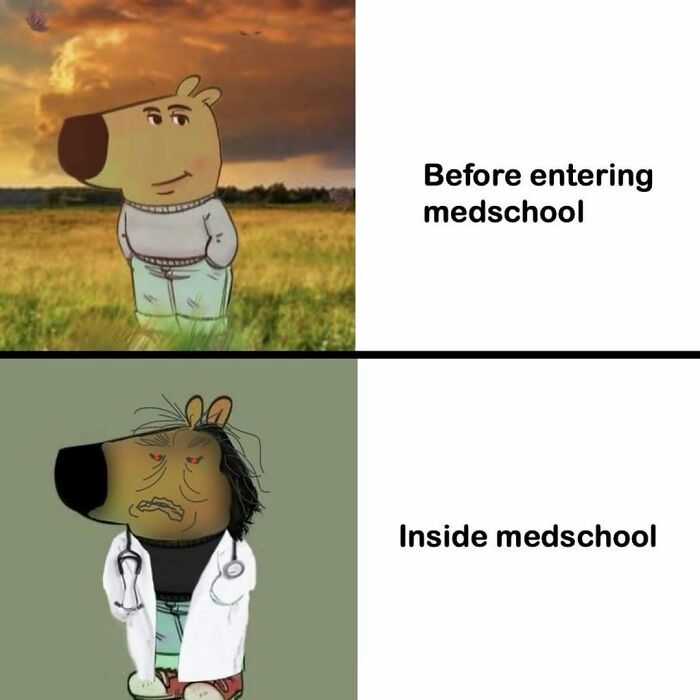 A funny medical meme contrasting a happy cartoon character before med school and a stressed, doctor-attired version inside med school.