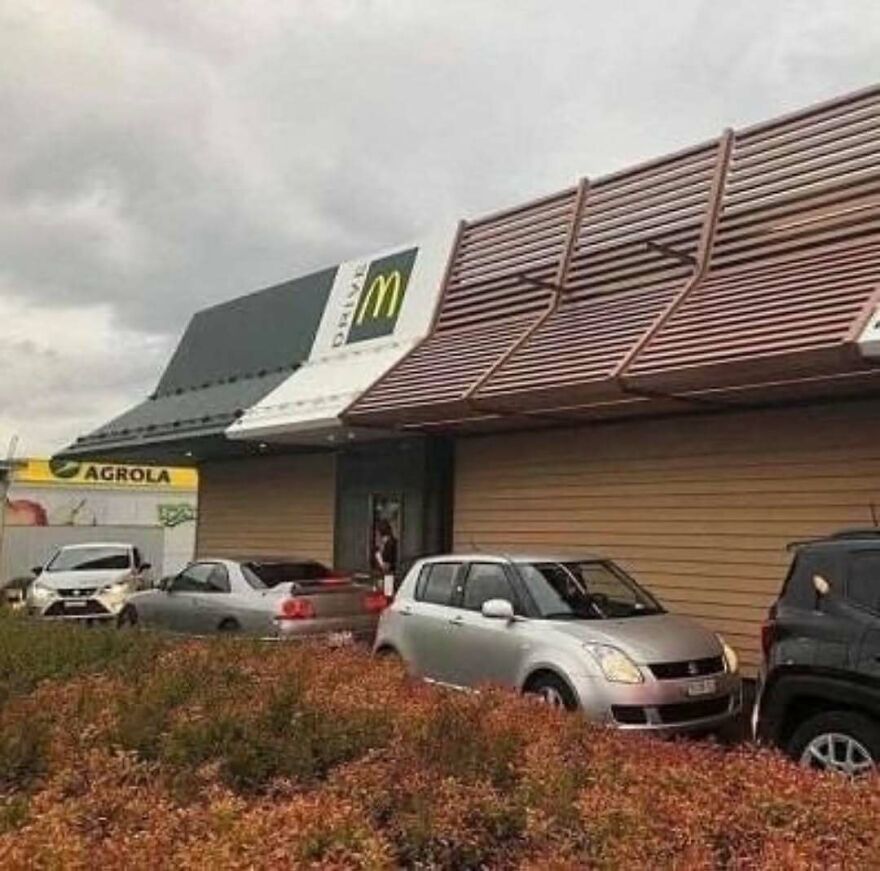 Cars lined up in a drive-thru, but parked in the bushes instead of the lane, a cursed image.