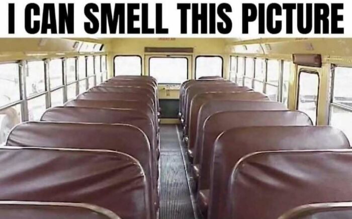 The empty interior of a school bus, evoking pure nostalgia for Saturday mornings.