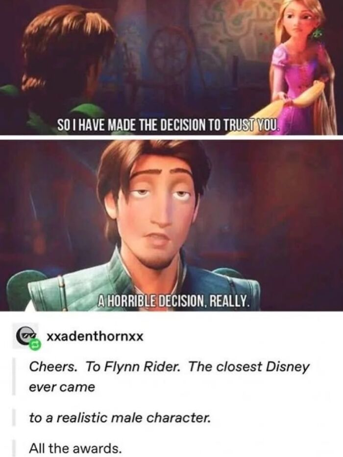 A funny Tumblr post featuring a Tangled meme about Flynn Rider being a realistic male character.