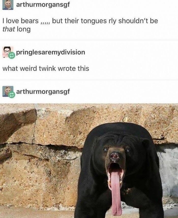 A funny Tumblr post showing a bear with an extremely long tongue and comments about its unusual length.