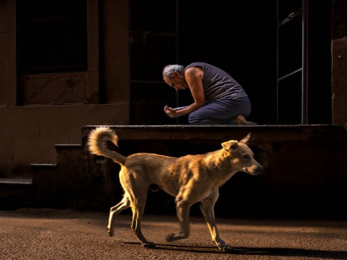 A man kneeling on steps while a dog walks by, a photograph by Tittu Shaji Thomas capturing life across cultures.