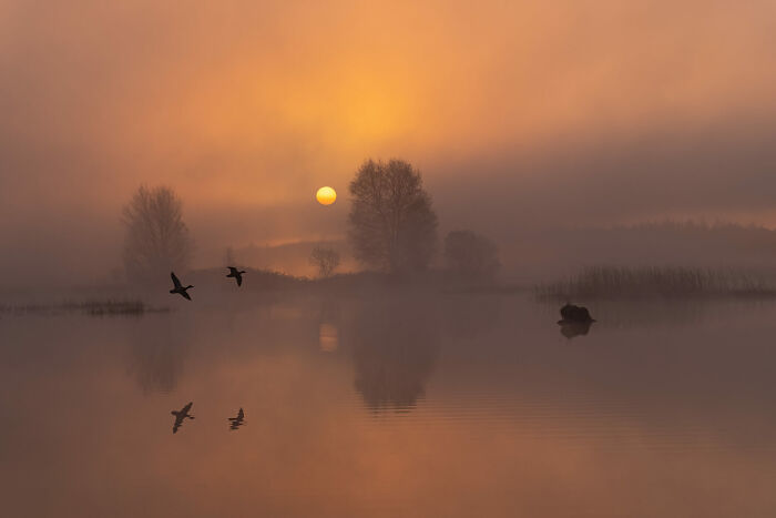 Open Color, 3rd Place: Sunrise At Lake Boora By Todor Tilev
