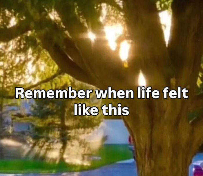 Sunlight filtering through trees, a pure nostalgia gem evoking Saturday mornings.