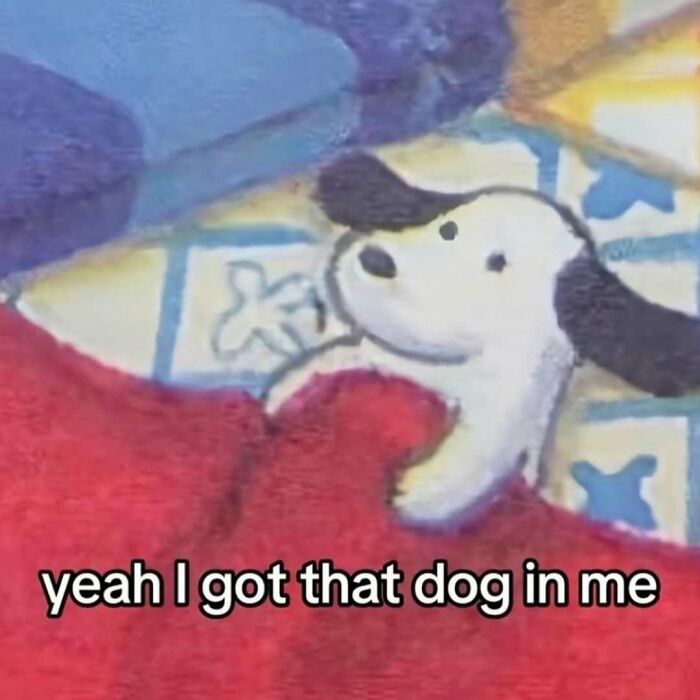A serotonin meme animated dog in a red blanket with the text: yeah I got that dog in me.