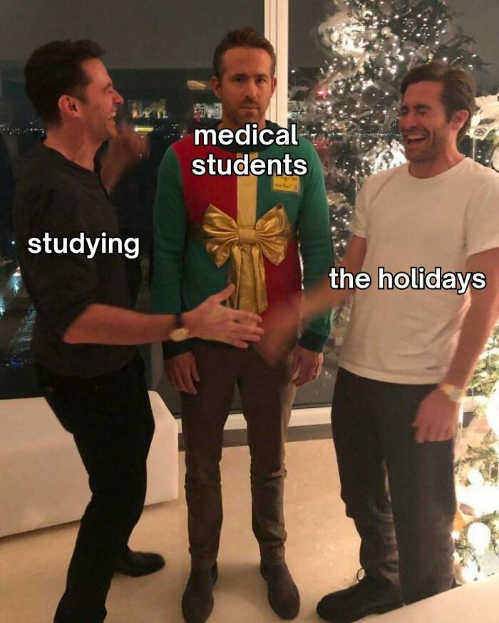 Funny medical meme showing medical students feeling squeezed between studying and the holidays.