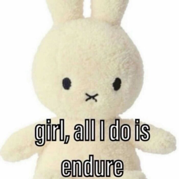 A Miffy plushie with the text girl, all I do is endure, a comforting serotonin meme.