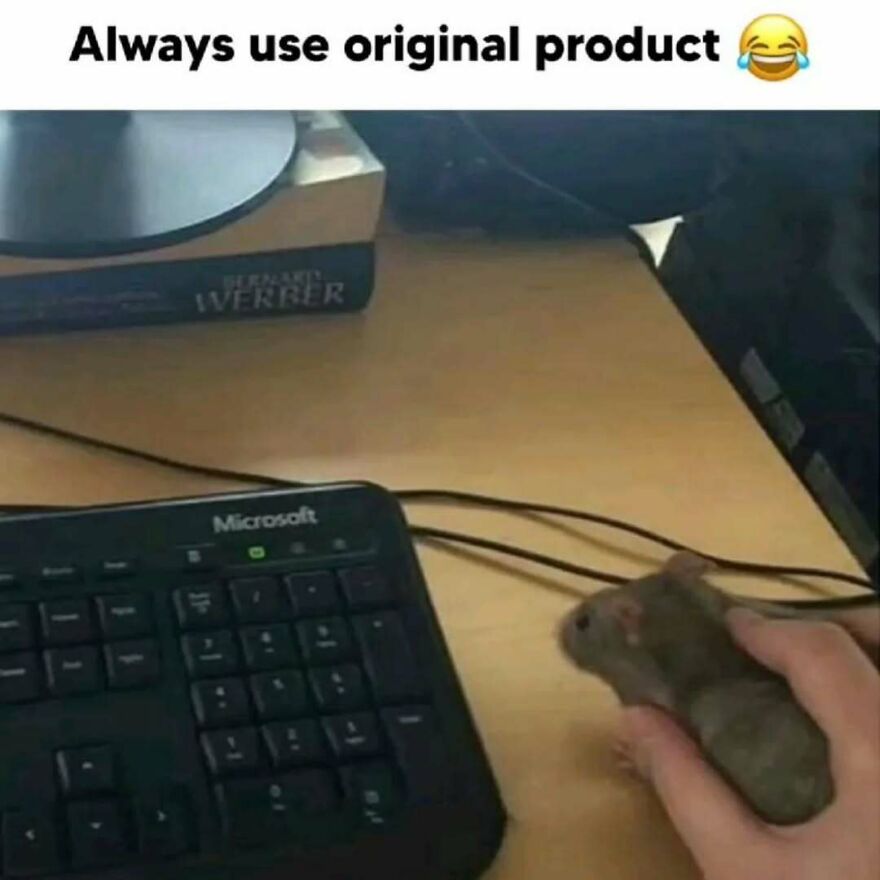 A hand holding a real hamster like a computer mouse next to a keyboard. Silly and cute animal meme.