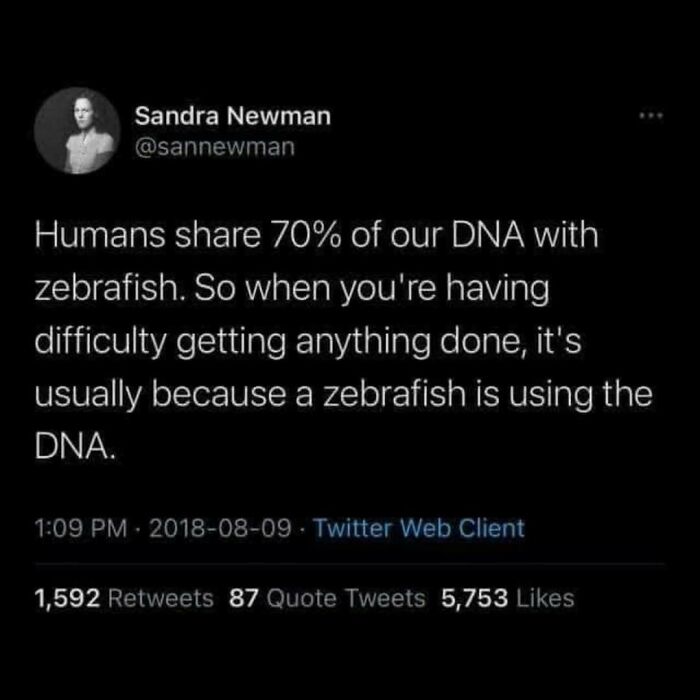 A funny meme on a black background, a tweet explaining science related to human and zebrafish DNA.