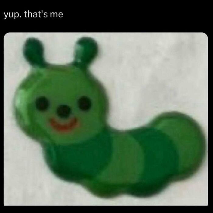 A blurry image of a green caterpillar with the caption Yup, that's me, intended for comfort and serotonin memes.