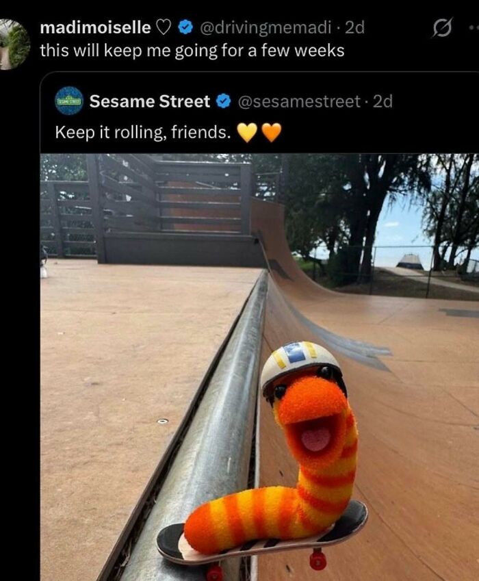 A Serotonin Meme showing a worm puppet on a skateboard, posted by Sesame Street, bringing comfort.