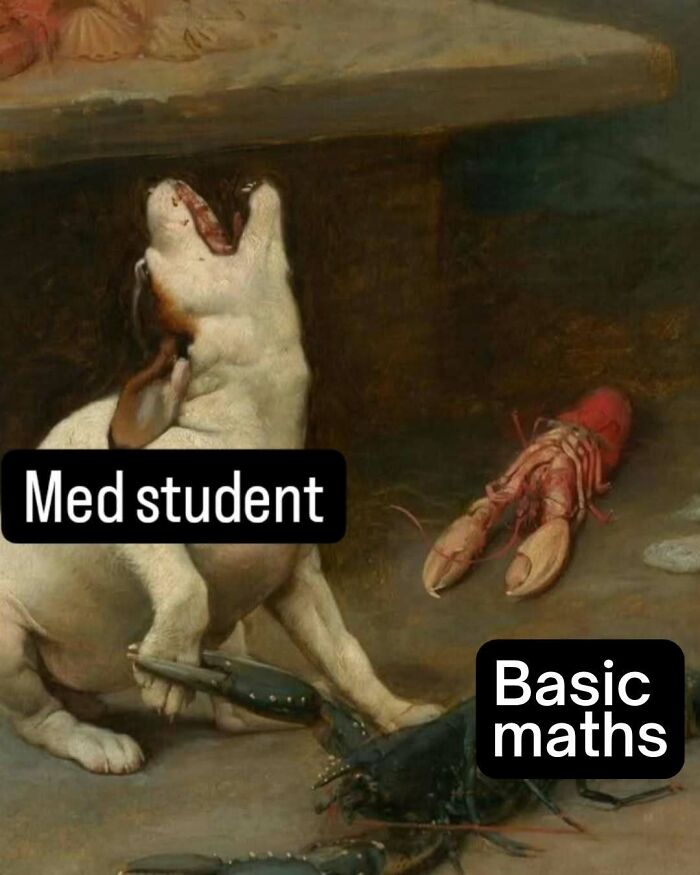 Funny medical meme showing a med student dog overwhelmed by basic math, represented by lobsters.