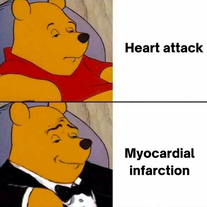 A funny medical meme comparing the terms 'heart attack' and 'myocardial infarction' with a sophisticated Winnie the Pooh.