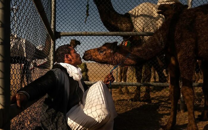 Remarkable photograph by Tittu Shaji Thomas capturing life across cultures and landscapes: a man and a camel.