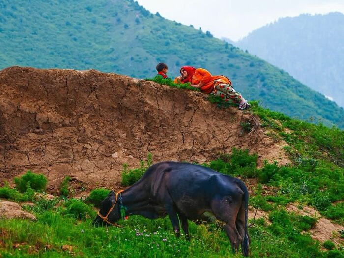 Remarkable photograph by Tittu Shaji Thomas capturing life across cultures and landscapes: a woman and child on a hill.