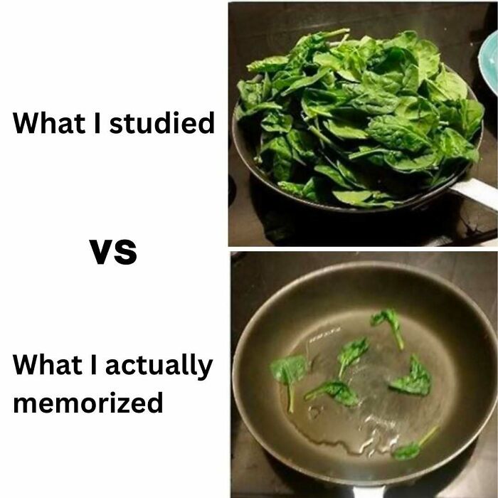 Funny medical meme comparing a full pan of spinach (studied) to a few leaves (memorized).