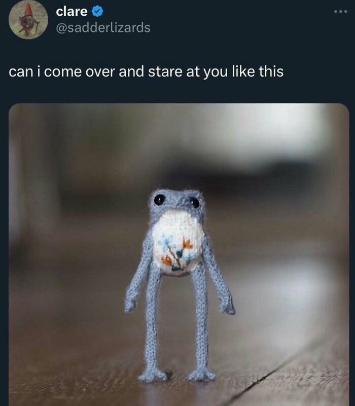 A Serotonin Meme featuring a knitted frog and a tweet asking to stare, offering comfort.