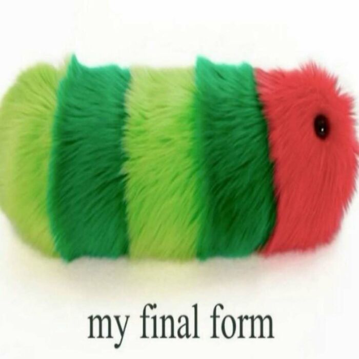 A serotonin meme showing a fluffy, segmented creature in green and red, captioned my final form.