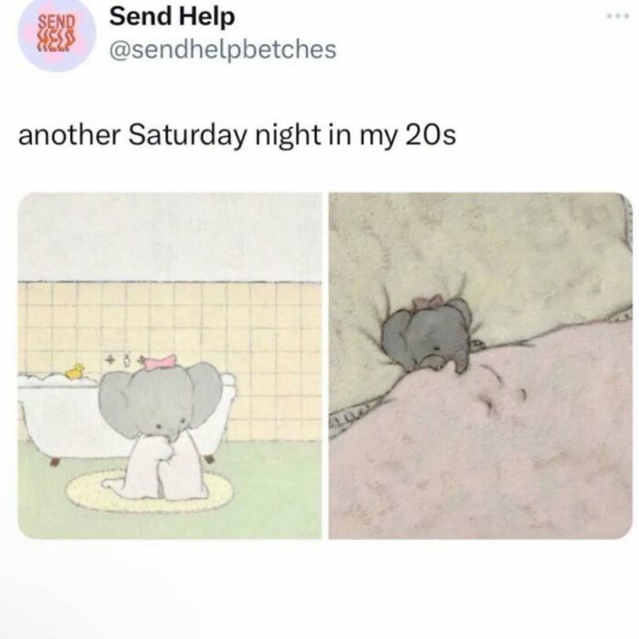 A serotonin meme showing a cartoon elephant taking a bath and sleeping, depicting a quiet Saturday night, for comfort.