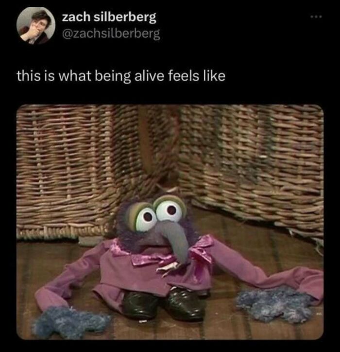 A serotonin meme featuring a deflated Gonzo puppet, representing what being alive feels like, bringing comfort.