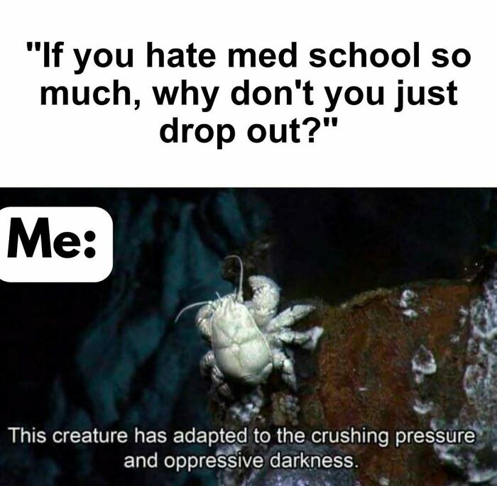 A funny medical meme showing a deep-sea creature adapting to crushing pressure, representing medical school struggles.