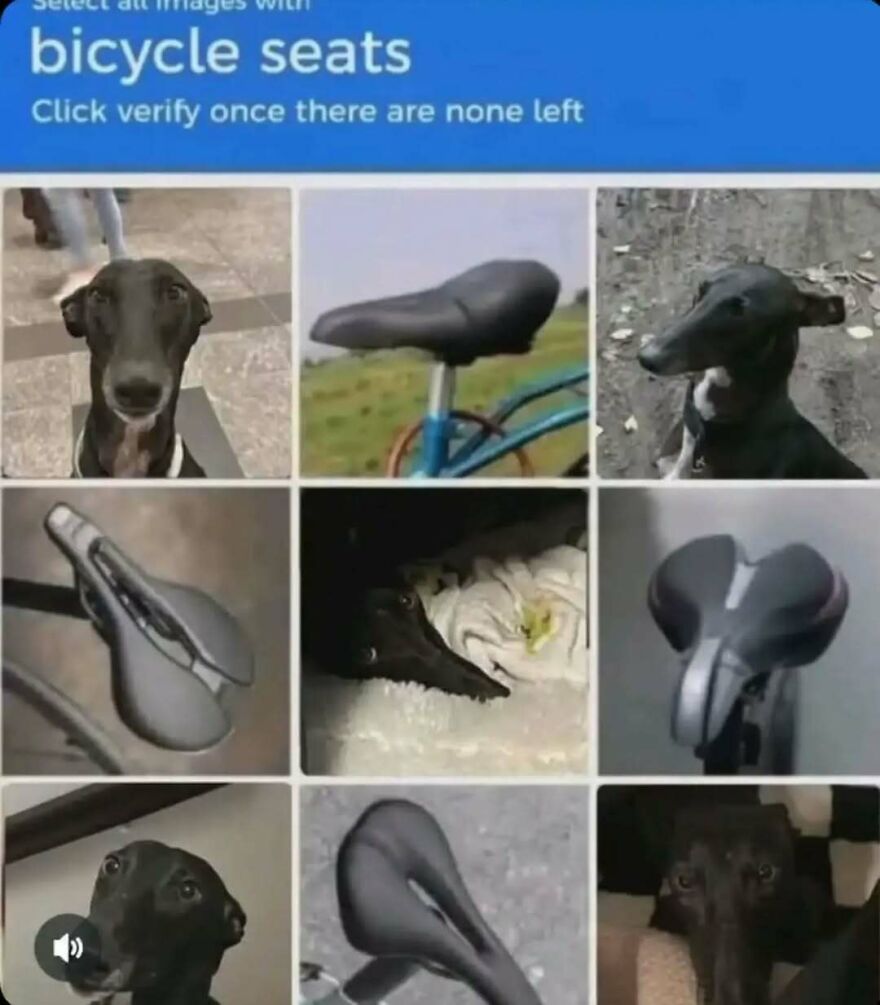 A funny animal meme with a captcha asking to select bicycle seats, featuring dogs that look like bicycle seats, creating silly animal humor.