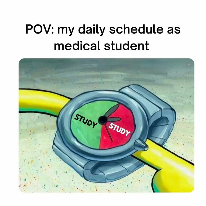 A meme depicting a medical student's daily schedule as a clock split between study and study, highlighting funny medical memes.