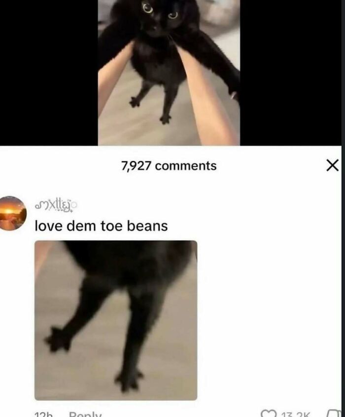A black cat held up by its armpits, showing its splayed back paws, with text saying love dem toe beans, making a funny mood meme.