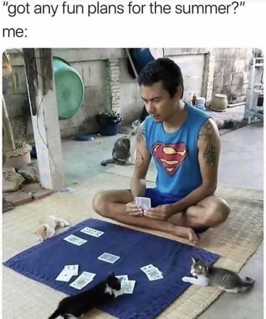 A man in a Superman shirt playing cards with cute animal memes of kittens, creating a silly moment.
