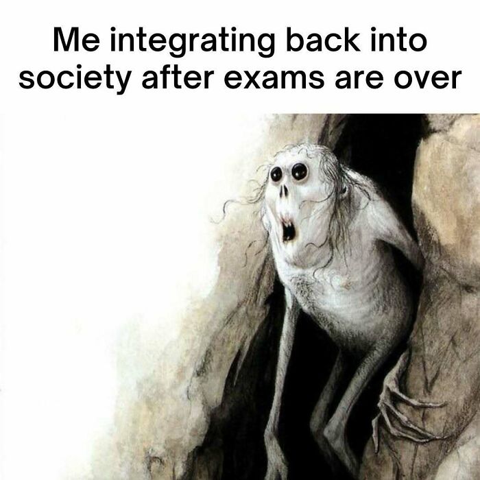 Funny medical memes featuring a creature emerging from a cave, representing integrating back into society after exams.