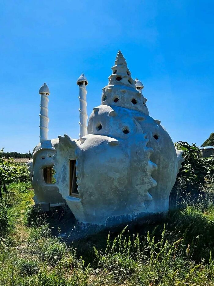 Brilliant and beautiful snail shell shaped house design with unique chimney features, surrounded by green foliage.