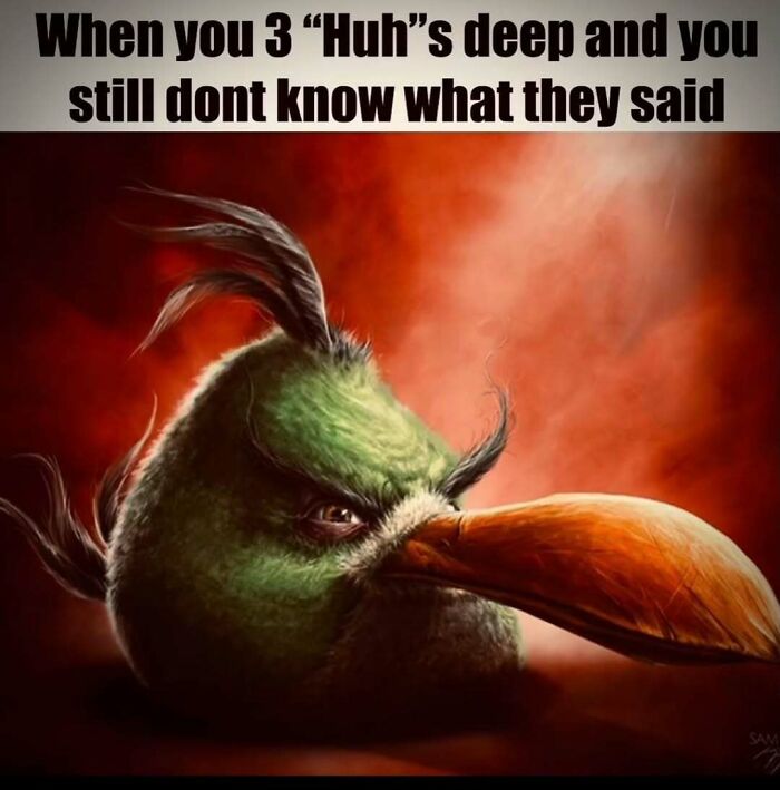 A meme featuring a confused green Angry Bird with a long beak, representing not understanding after multiple Huhes, an unhinged meme.