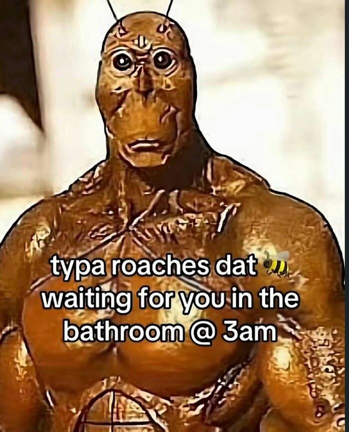 An unhinged meme depicting a roach-like creature representing those waiting in the bathroom at 3 am to change your mood.