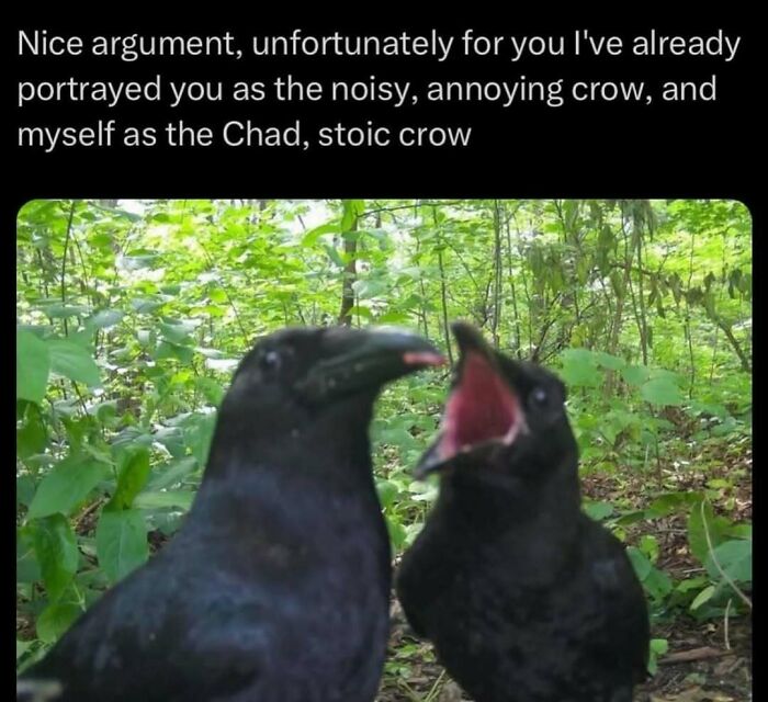 Two crows, one with its beak open, depicted as a noisy crow and a Chad crow, a meme to change your mood.