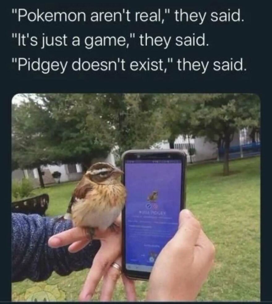 Cute animal meme showing a bird on a hand next to a phone displaying a Pokemon character, making a funny animal meme.