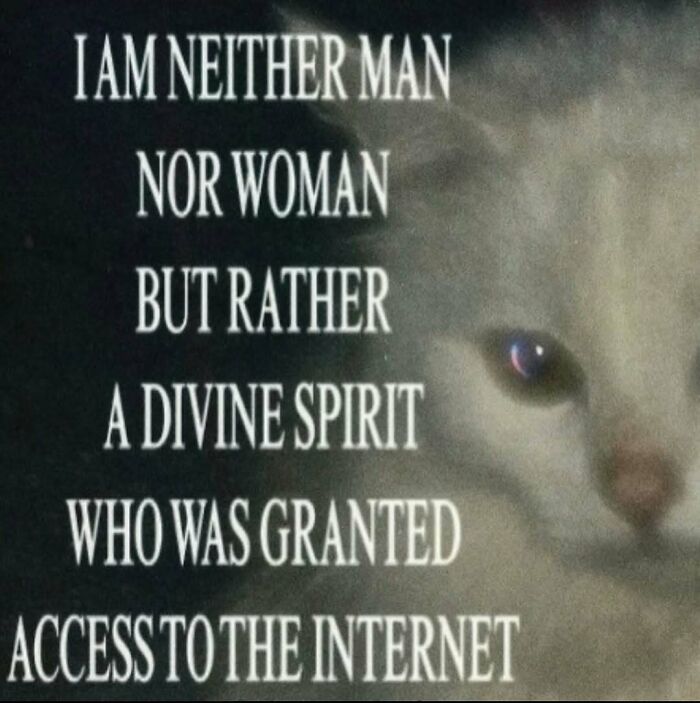 A serotonin meme of a cat with text: I am neither man nor woman but a divine spirit with internet access, comfort.