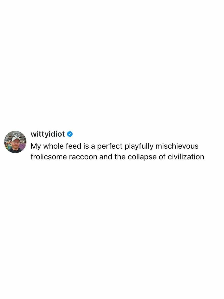 A comedian's unfiltered take: wittyidiot shares a quirky thought about his feed being like a raccoon and civilization's collapse.