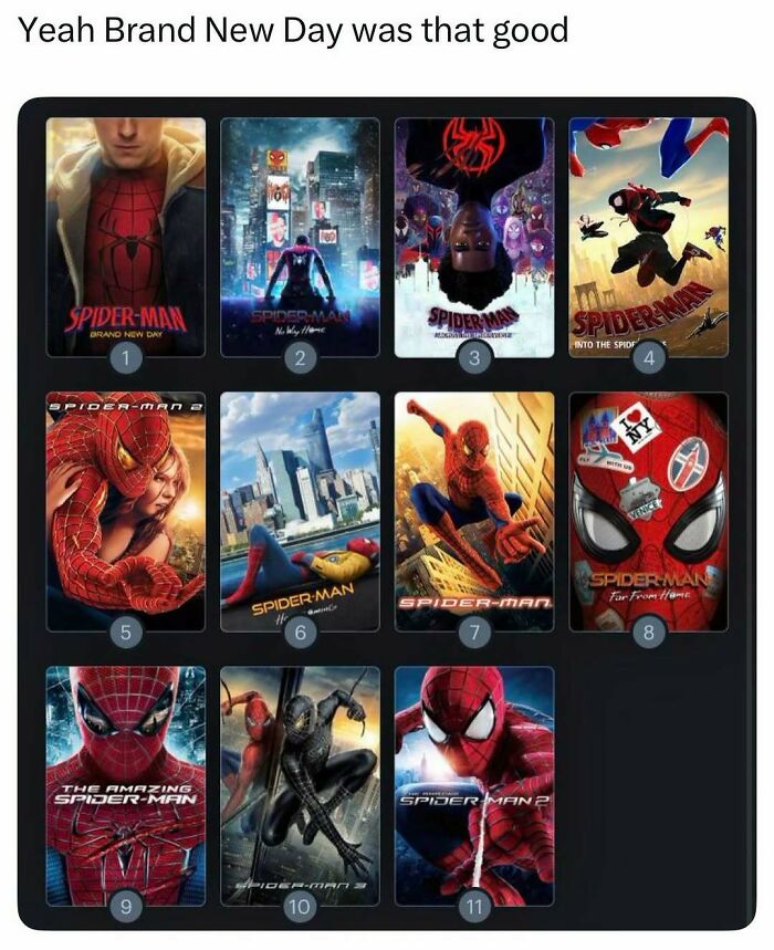 A grid of eleven Spider-Man movie posters, including Brand New Day, showcasing various pop culture iterations. Good vibes.