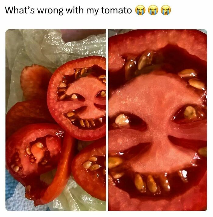 A sliced tomato showing a face, resembling pop culture posts for good vibes.