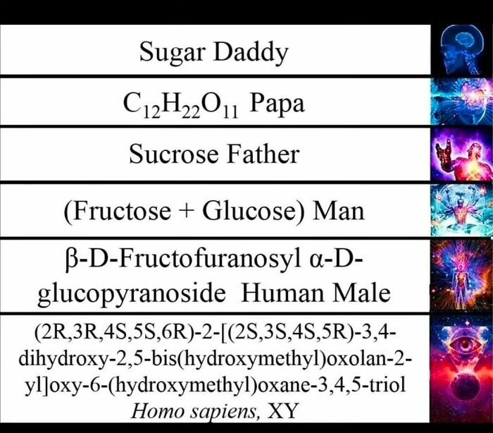 A funny meme illustrating different scientific terms for Sugar Daddy, progressing from simple to complex.