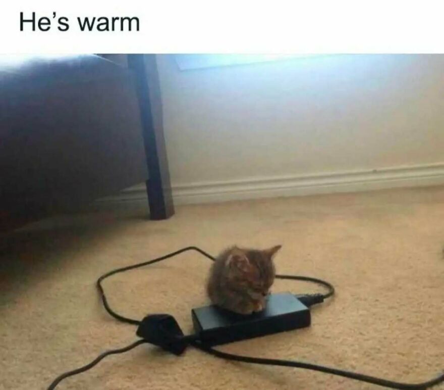 Cute animal meme: A small kitten sleeping on a warm electronic device, captioned He's warm.