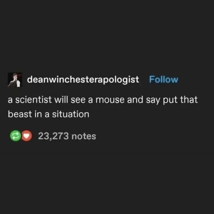 A Serotonin Meme post about a scientist and a mouse, providing comfort and a laugh.